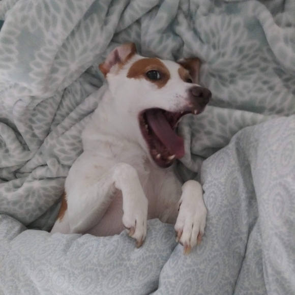 Meet your Posher, Nicole - Picture 7 of 8